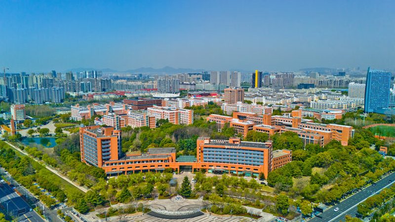 毕业设计电子设计：优缺点全面解析
